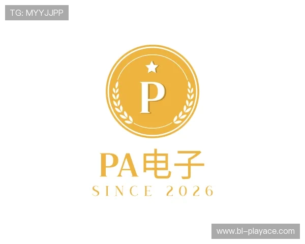 发现PA电子
